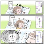 猫に起こされる幸せ　【 2 】